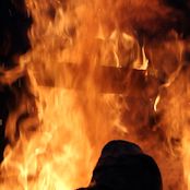 IMG_0917.JPG
