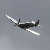 IMG_2347.JPG