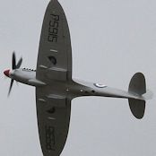 IMG_2870.JPG