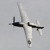 IMG_3166.JPG