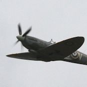 IMG_3210.JPG