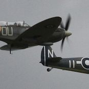 IMG_3264.JPG