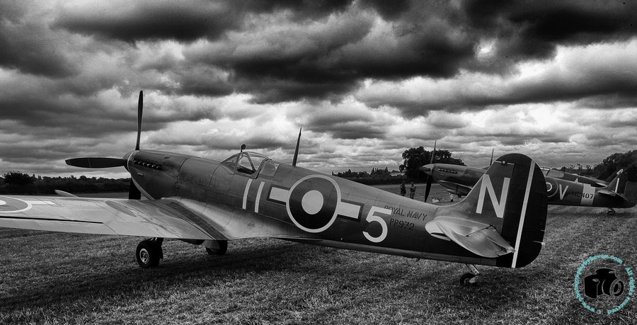 Dramatic Seafire